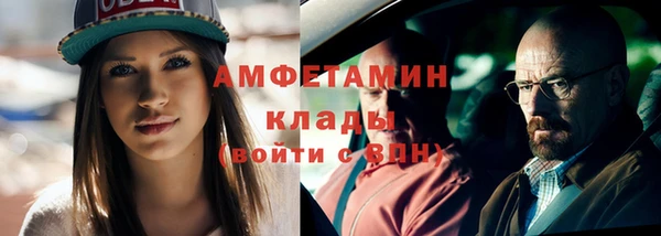 прущие грибы Аркадак