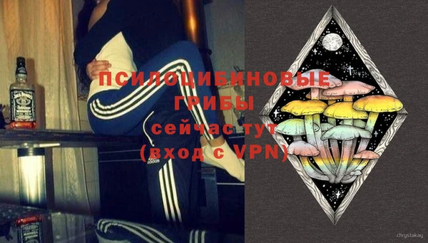 твердый Армянск