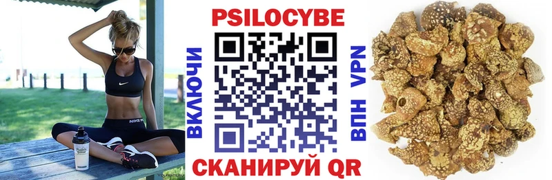 Галлюциногенные грибы GOLDEN TEACHER Поворино